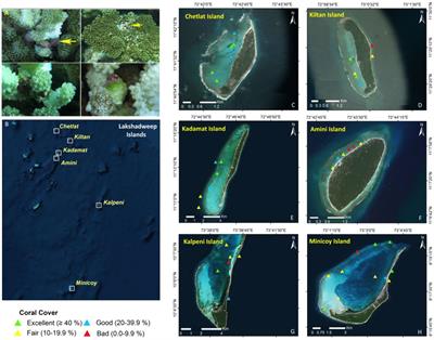 Coral Reef Health Status versus Muricid Bioindicator in the Lakshadweep Archipelago – A Multivariate Approach